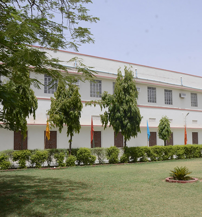 DVM